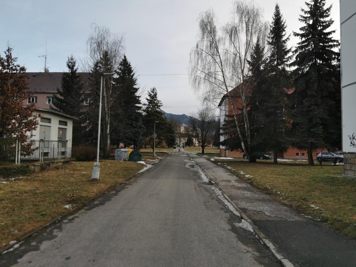 Flat In The Heart Of Liptovsky Mikulas公寓 外观 照片